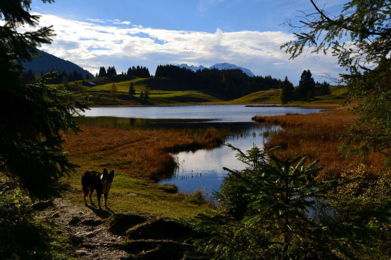 Pension Edelweiss Top21 Gosau Esterno foto