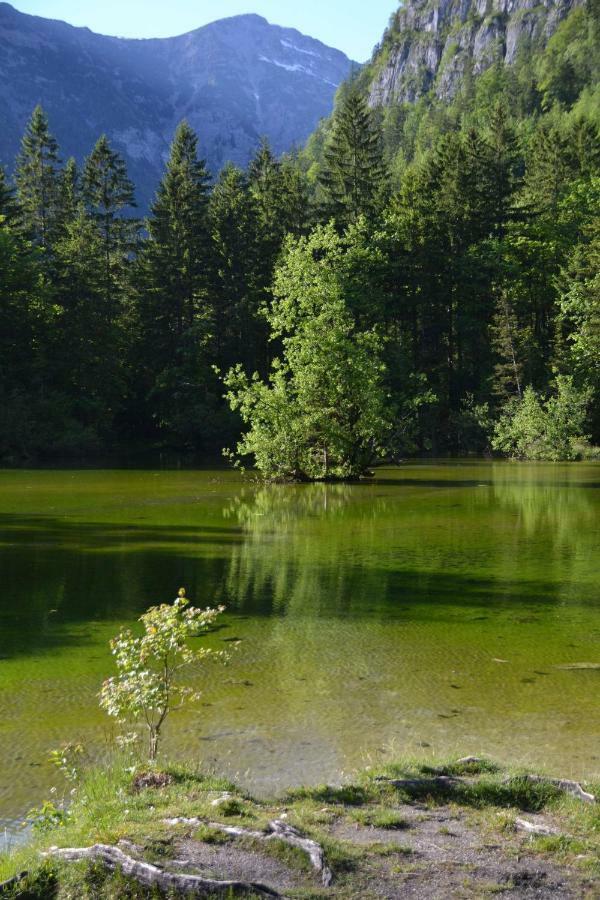 Pension Edelweiss Top21 Gosau Esterno foto
